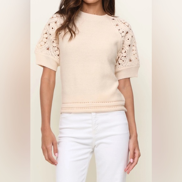 62. Design History- Pink Crochet Sleeves - Picture 2 of 6